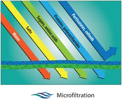 microfiltration